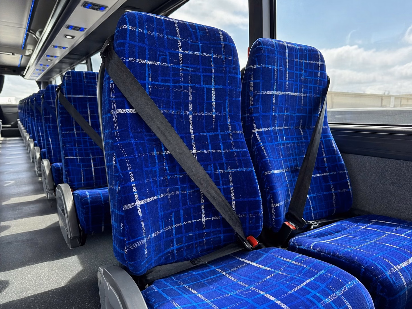 pearland charter bus inside